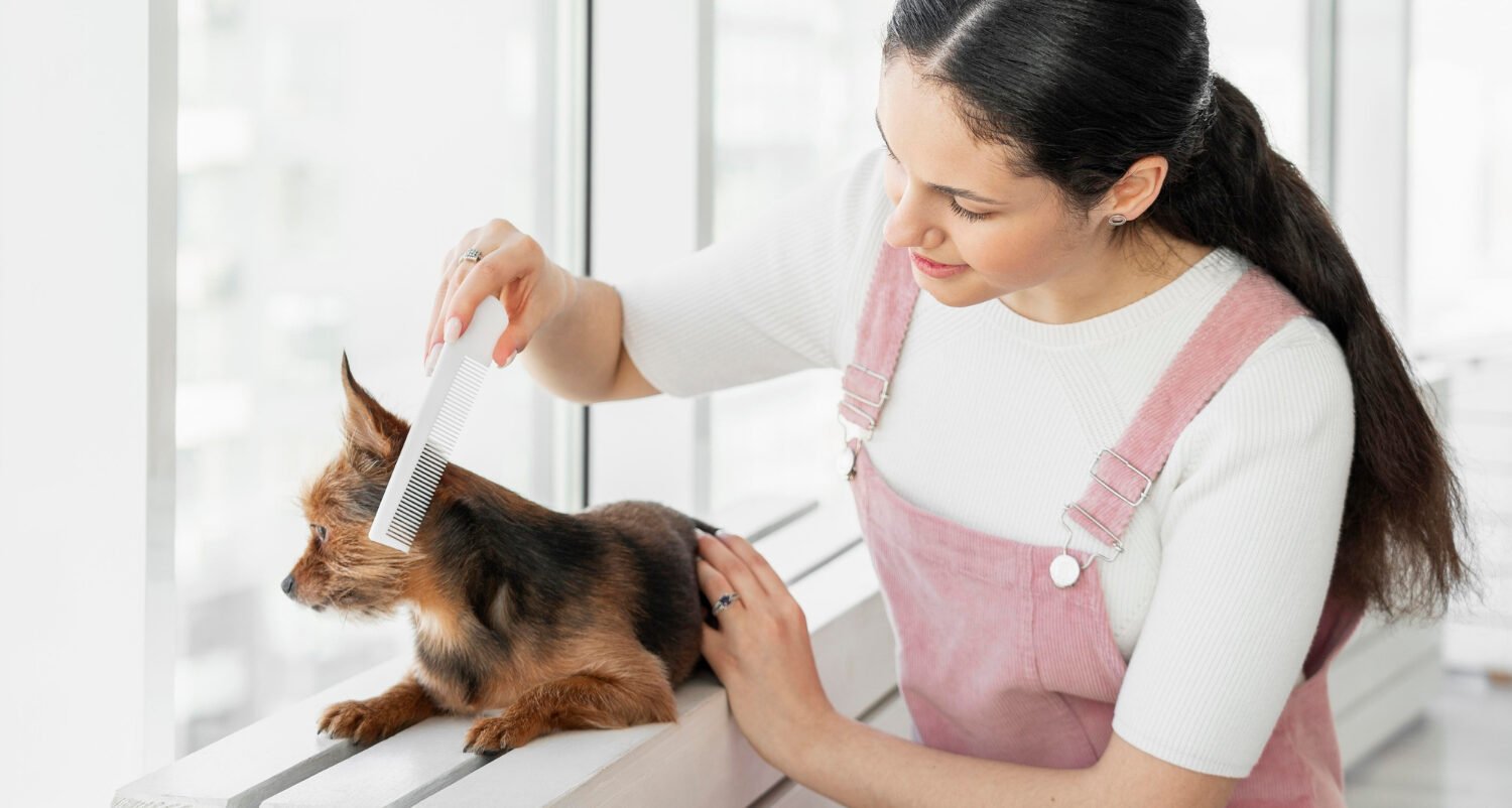 girl grooming a dog