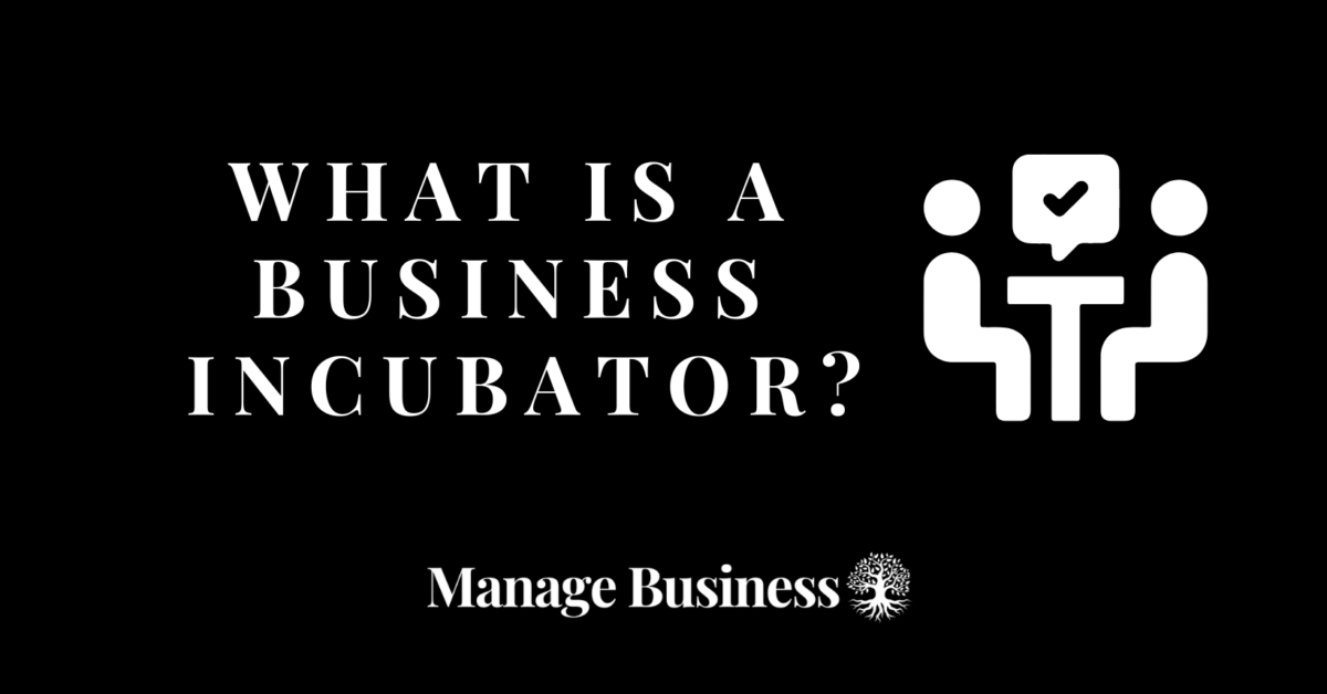 What is a business incubator?