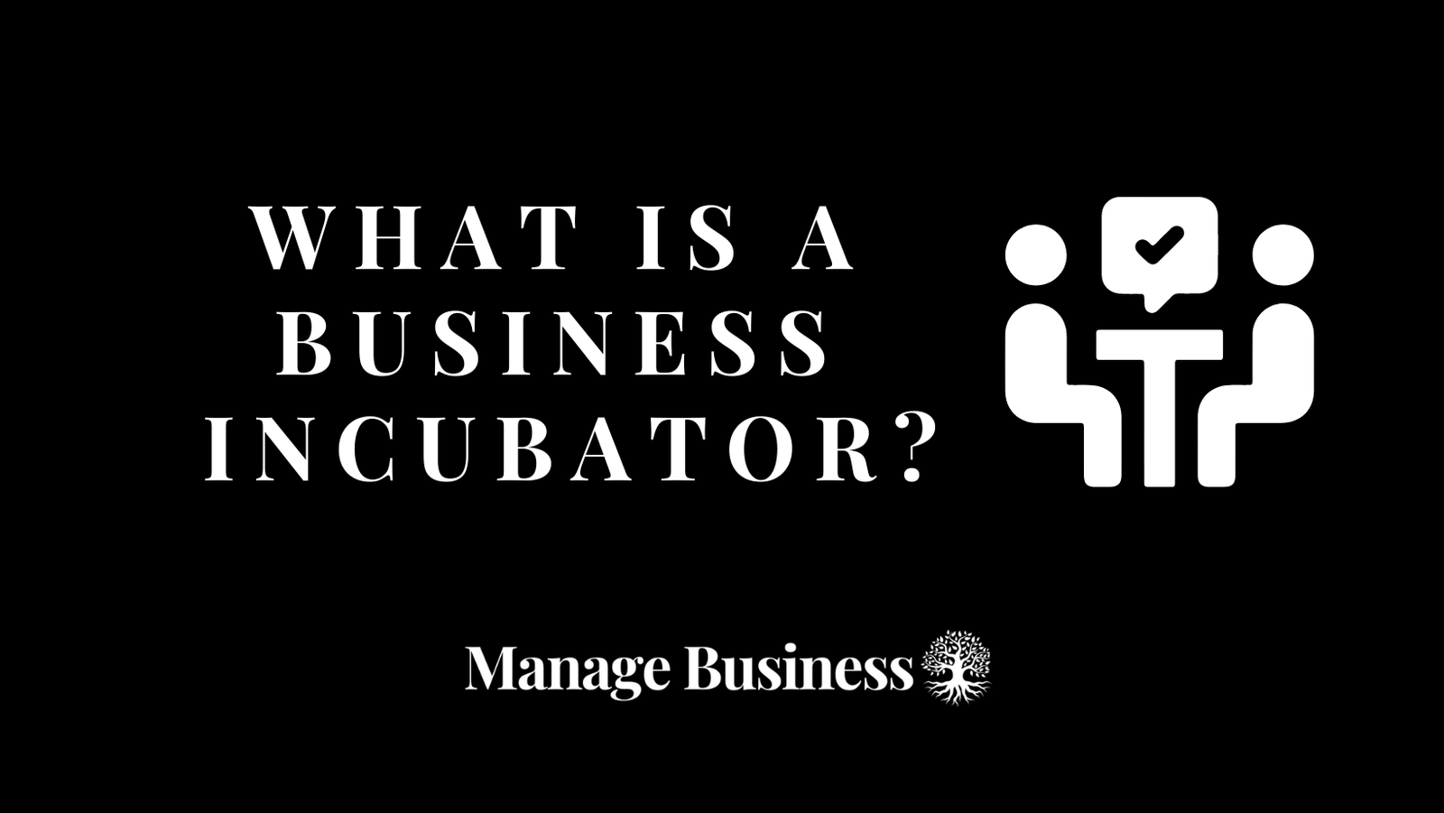 What is a business incubator?