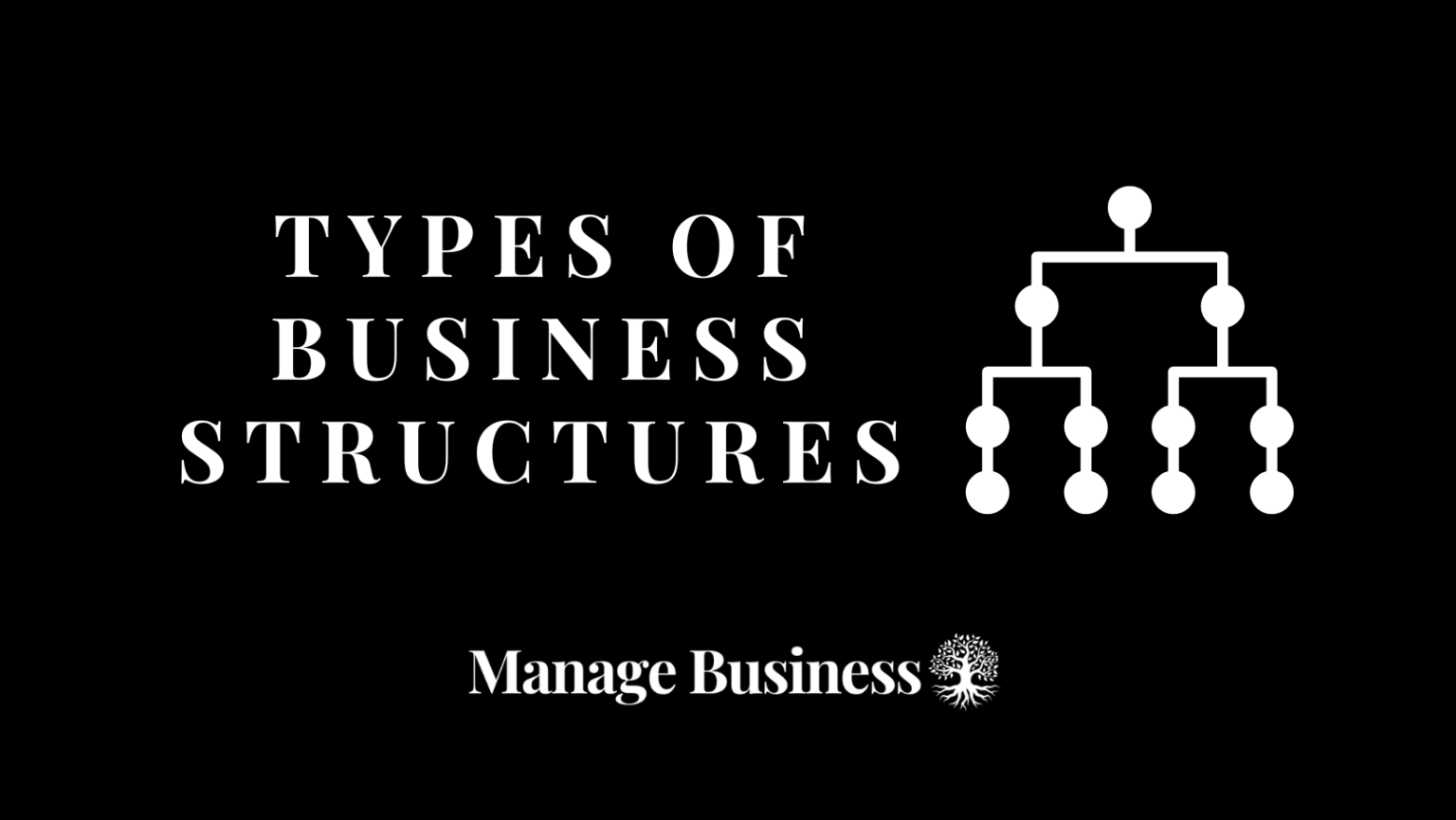 25-types-of-business-structures-the-ultimate-guide