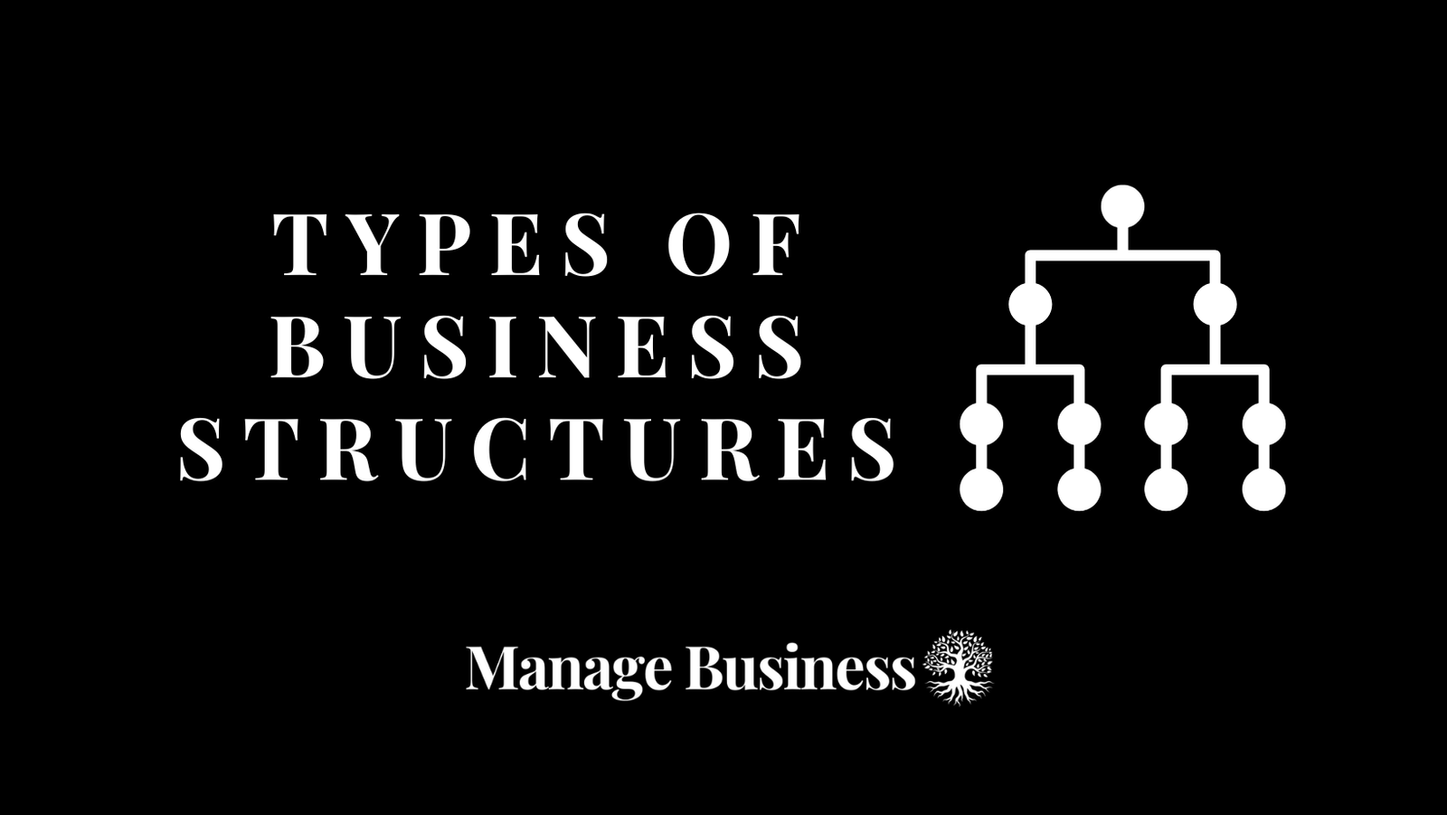 25 Types Of Business Structures The Ultimate Guide 0262