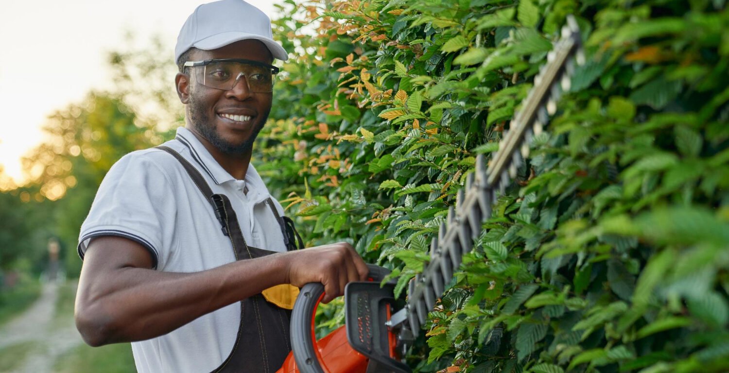 A man using a hedge trimmer and cutting bushes.