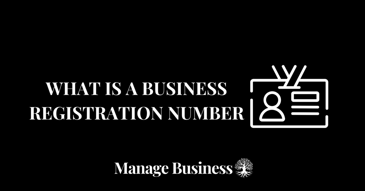 What is a business registration number