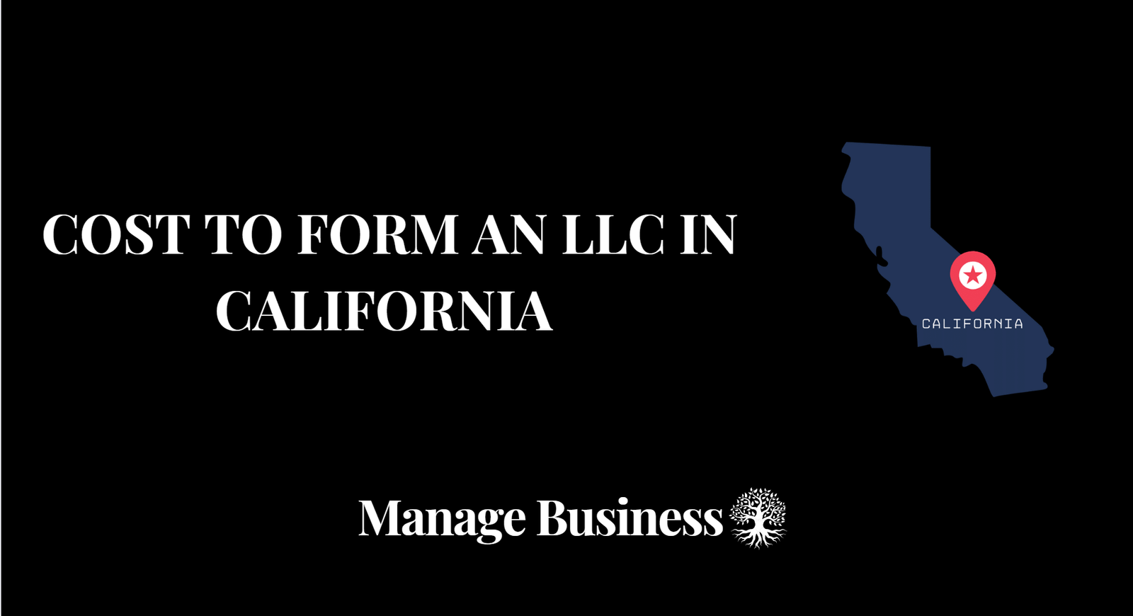 What Does it Cost to Start an LLC in California - Guide 2024 - Manage ...