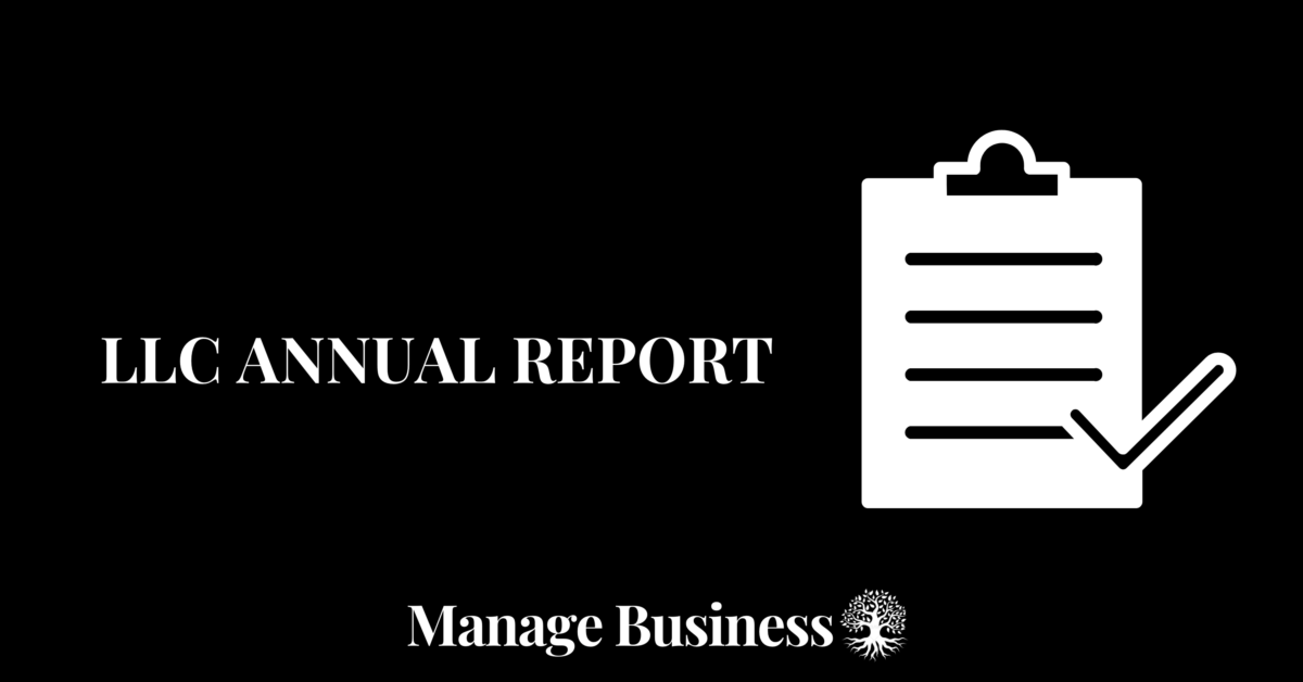 what is an LLC annual report