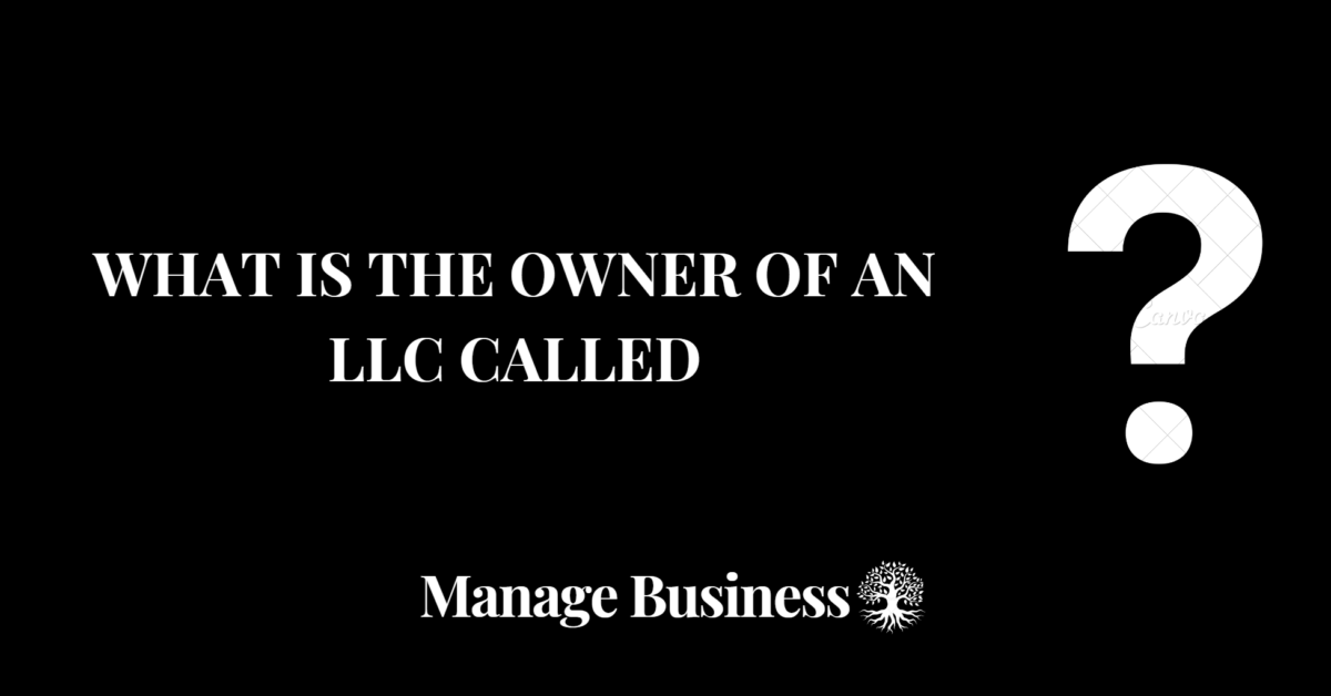 What Is the Owner of an LLC Called