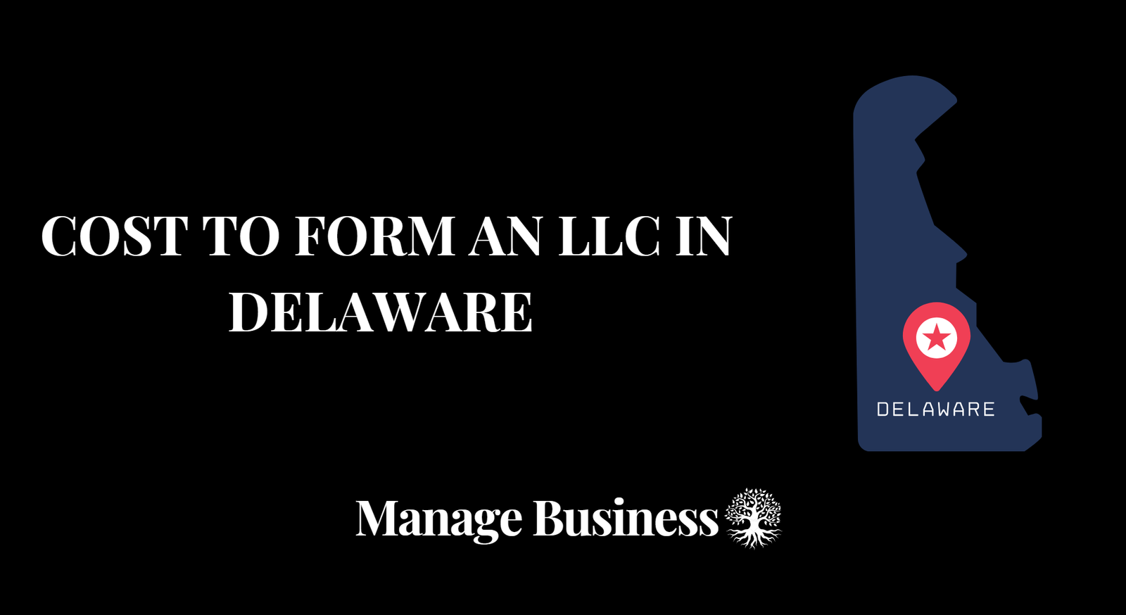 Cost to Form an LLC in Delaware: DE LLC Cost - Manage Business