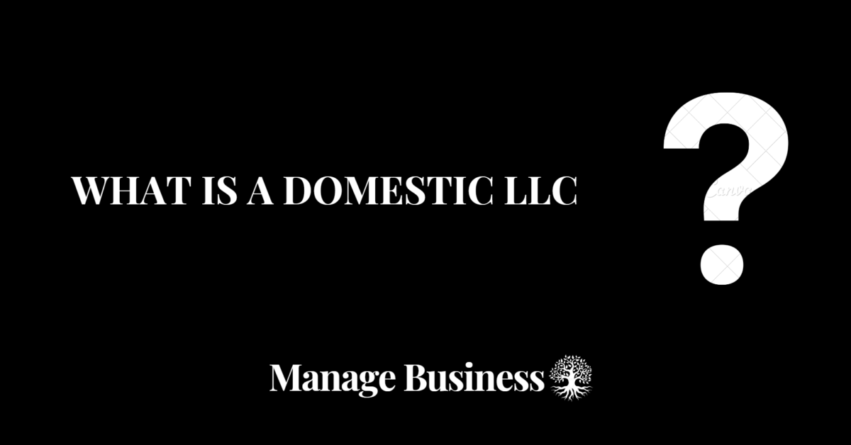What Is a Domestic LLC