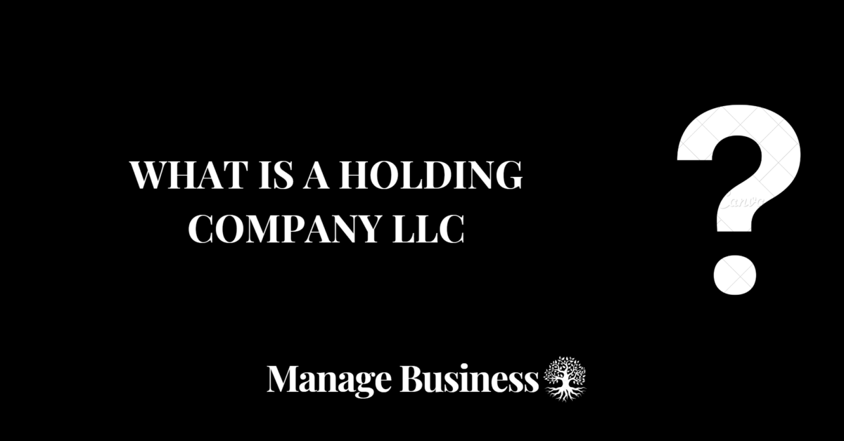 What Is a Holding Company LLC