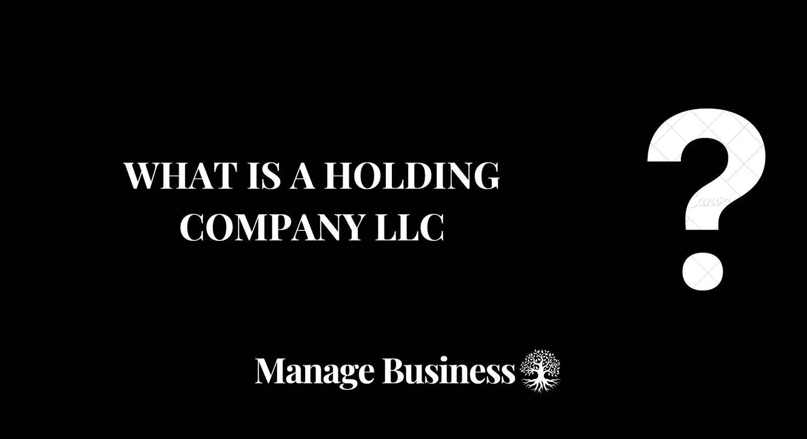 what-is-an-llc-holding-company-manage-business