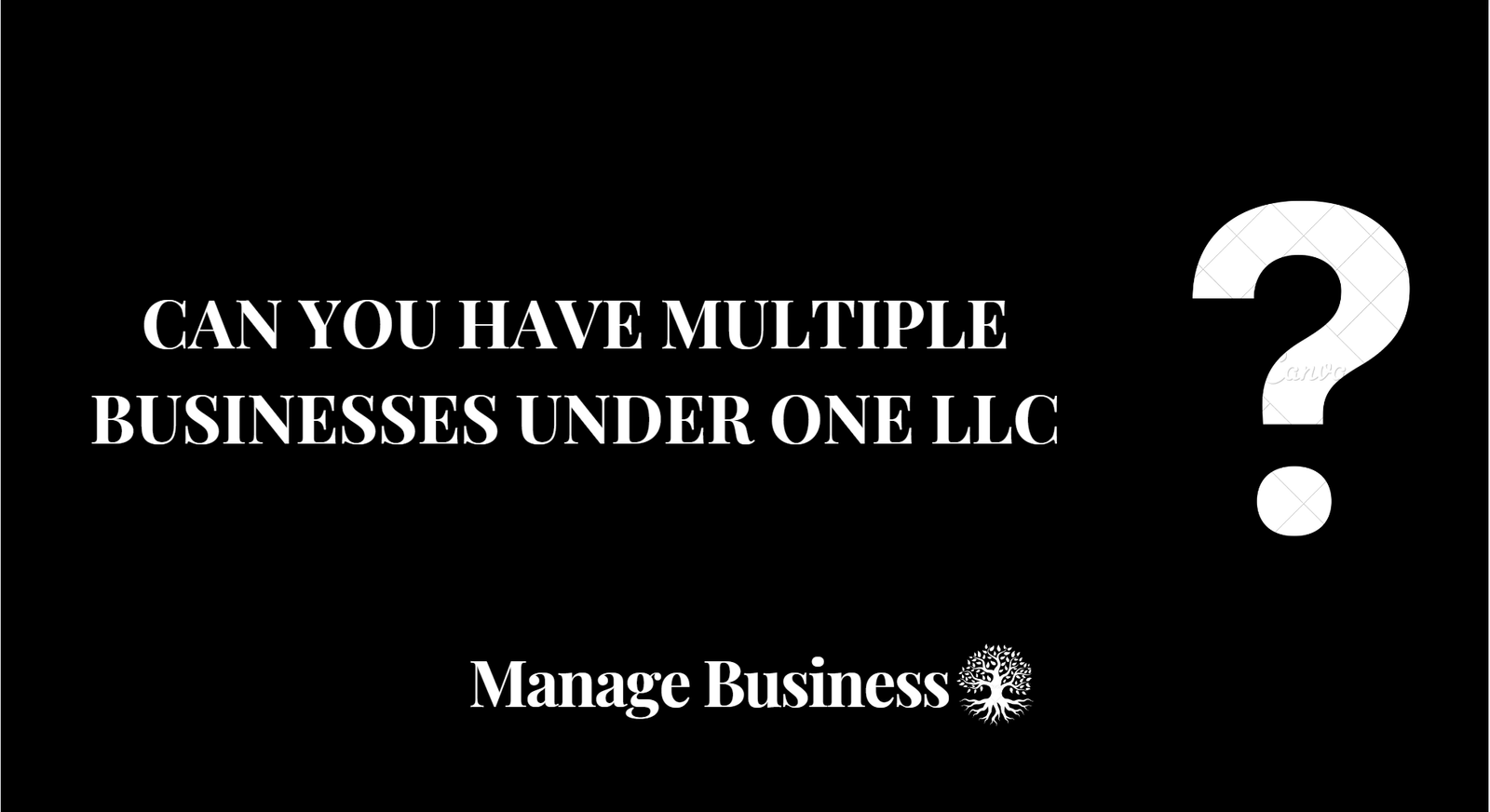 can-you-have-multiple-businesses-under-one-llc-in-2024-manage-business