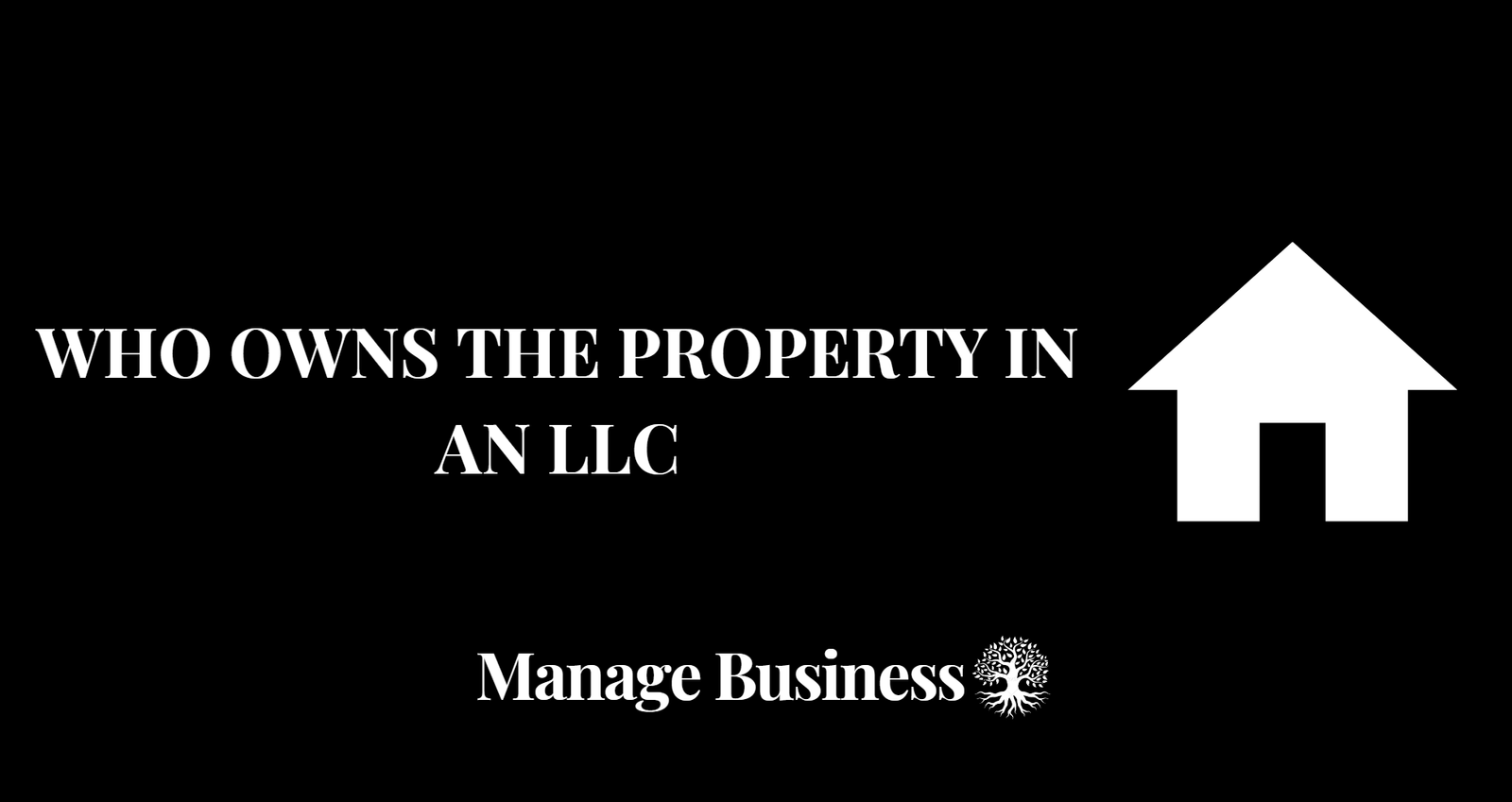 Who Owns the Property in an LLC? Manage Business