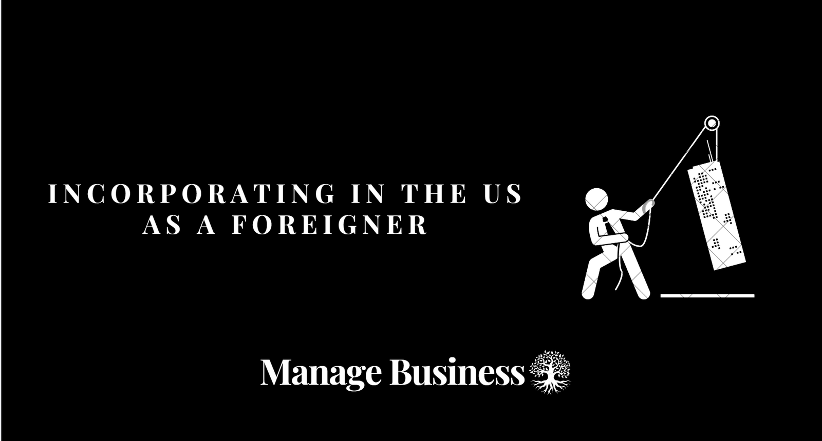 Incorporating in the US as a Foreigner A StepbyStep Guide Manage